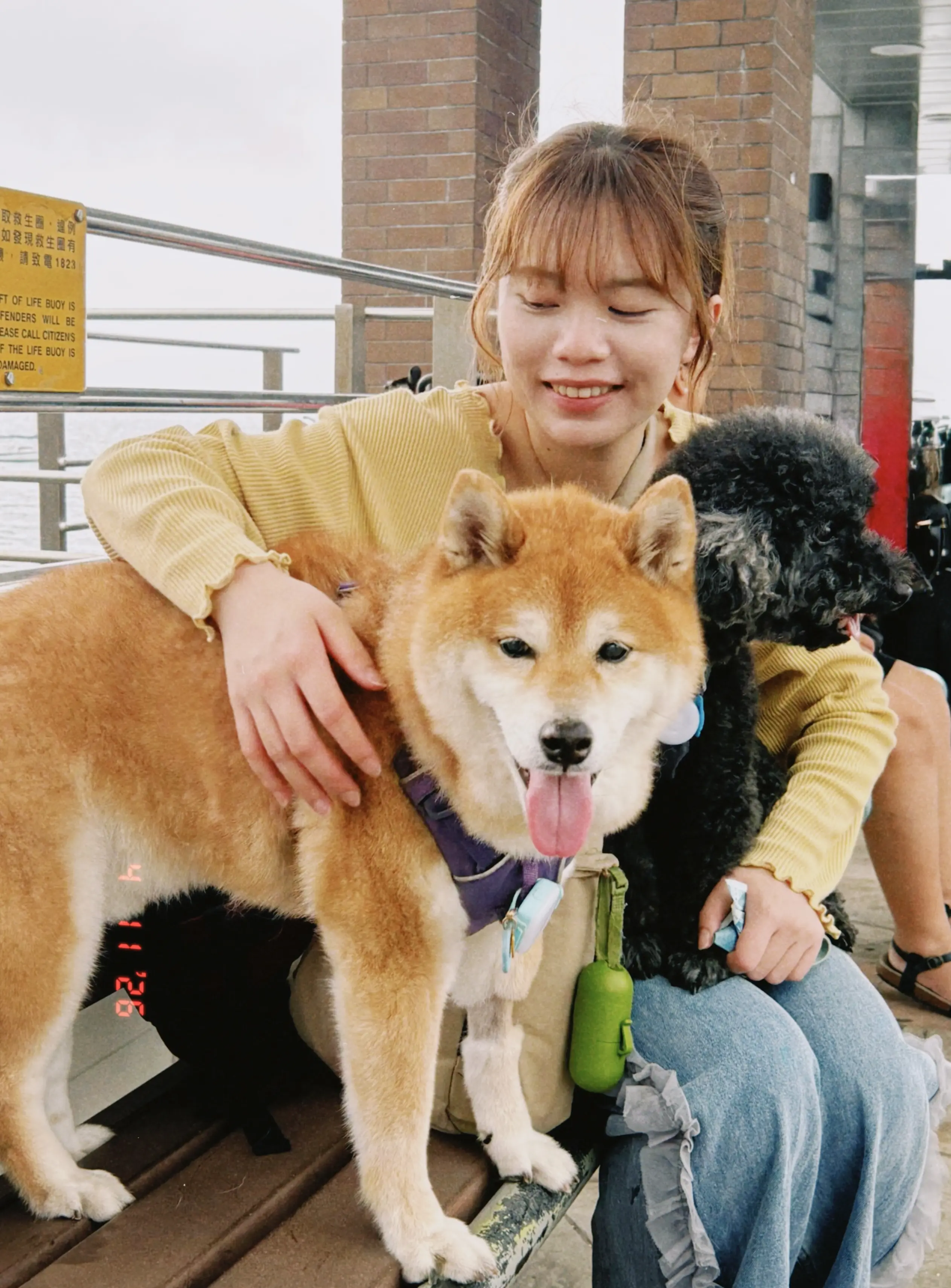 Cozy Paws 專業寵物保姆 Lena 與毛孩